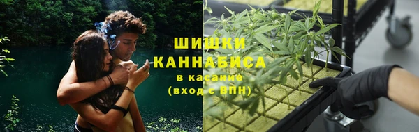 винт Новозыбков