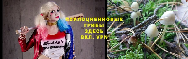 винт Новозыбков