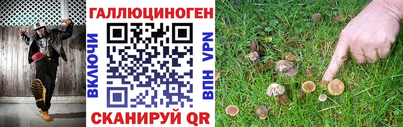 Купить где  Анжеро-Судженск  Галлюциногенные грибы мухоморы 